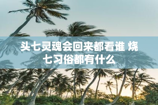头七灵魂会回来都看谁 烧七习俗都有什么