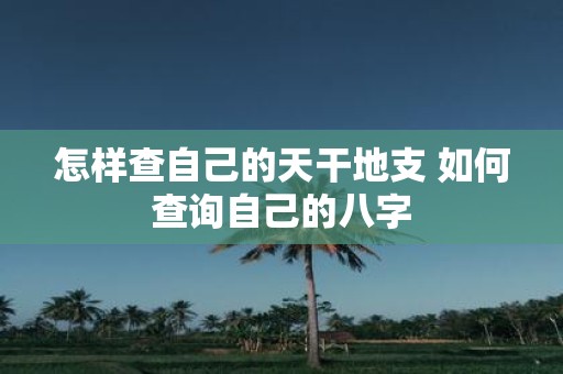 怎样查自己的天干地支 如何查询自己的八字