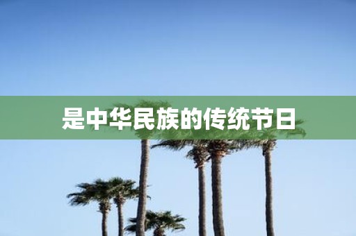 是中华民族的传统节日