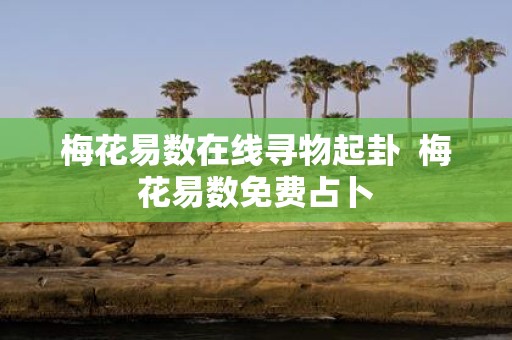 梅花易数在线寻物起卦 梅花易数免费占卜