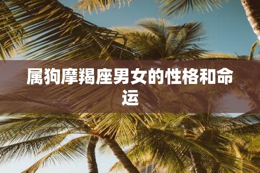 属狗摩羯座男女的性格和命运