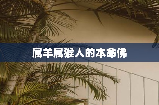属羊属猴人的本命佛