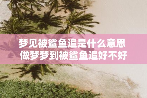 梦见被鲨鱼追是什么意思 做梦梦到被鲨鱼追好不好