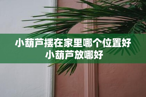 小葫芦摆在家里哪个位置好 小葫芦放哪好
