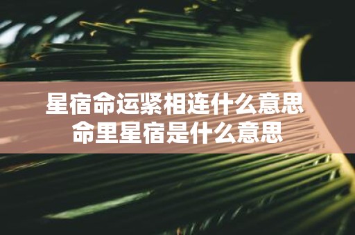 星宿命运紧相连什么意思 命里星宿是什么意思