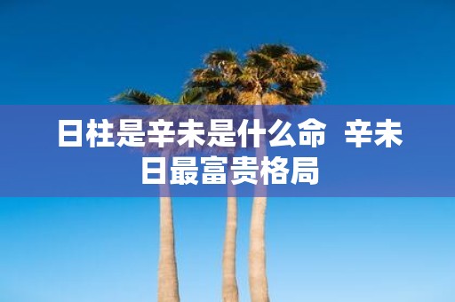 日柱是辛未是什么命 辛未日最富贵格局