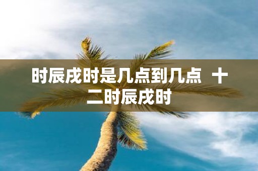 时辰戌时是几点到几点 十二时辰戌时