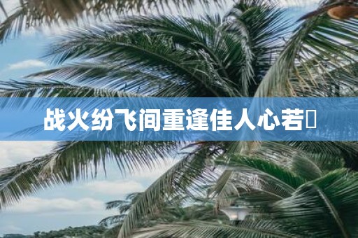 战火纷飞间重逢佳人心若翾