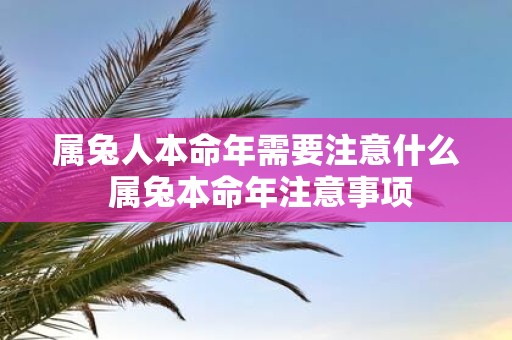 属兔人本命年需要注意什么 属兔本命年注意事项