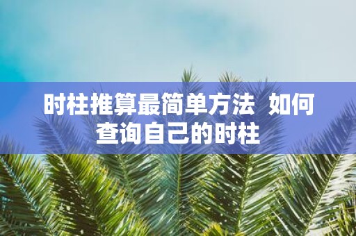 时柱推算最简单方法 如何查询自己的时柱
