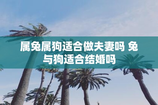属兔属狗适合做夫妻吗 兔与狗适合结婚吗
