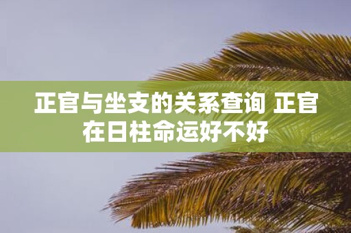 正官与坐支的关系查询 正官在日柱命运好不好