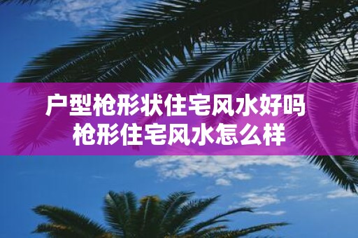 户型枪形状住宅风水好吗 枪形住宅风水怎么样
