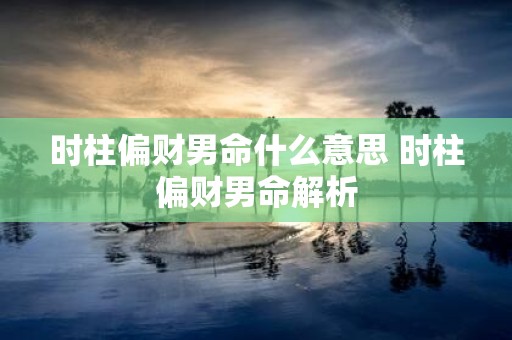 时柱偏财男命什么意思 时柱偏财男命解析