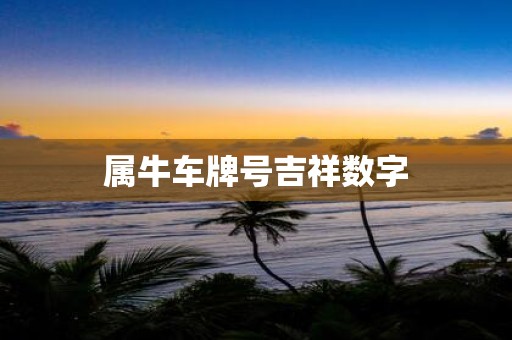属牛车牌号吉祥数字