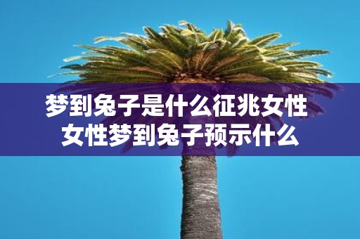 梦到兔子是什么征兆女性 女性梦到兔子预示什么