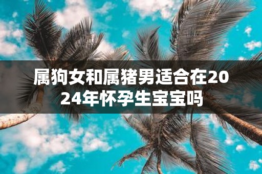 属狗女和属猪男适合在2025年怀孕生宝宝吗