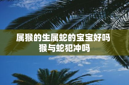 属猴的生属蛇的宝宝好吗 猴与蛇犯冲吗