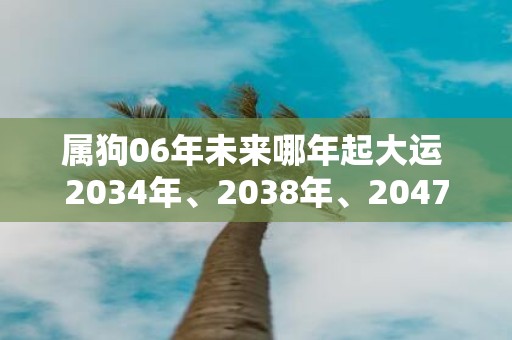 属狗06年未来哪年起大运 2034年、2038年、2047年
