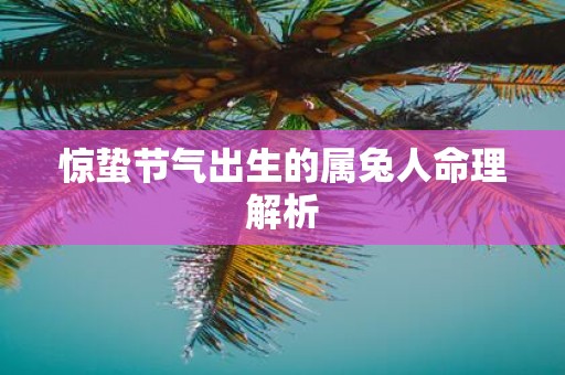 惊蛰节气出生的属兔人命理解析