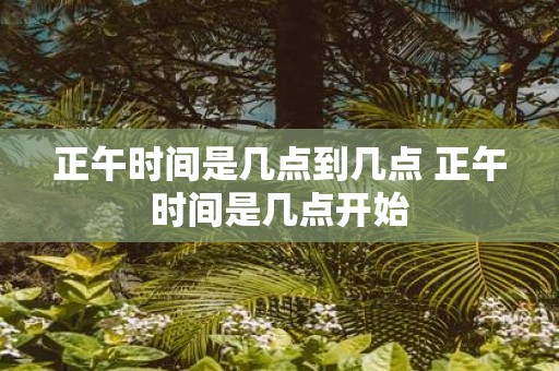 正午时间是几点到几点 正午时间是几点开始