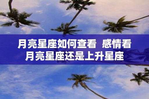 月亮星座如何查看 感情看月亮星座还是上升星座