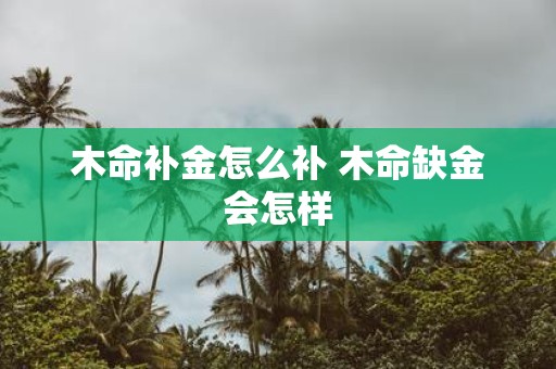 木命补金怎么补 木命缺金会怎样