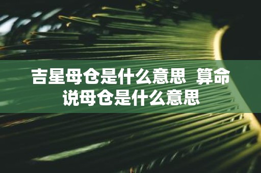 吉星母仓是什么意思 算命说母仓是什么意思