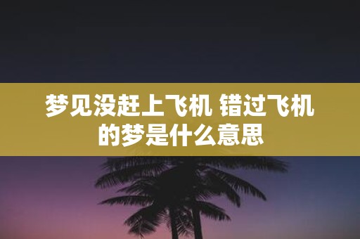 梦见没赶上飞机 错过飞机的梦是什么意思