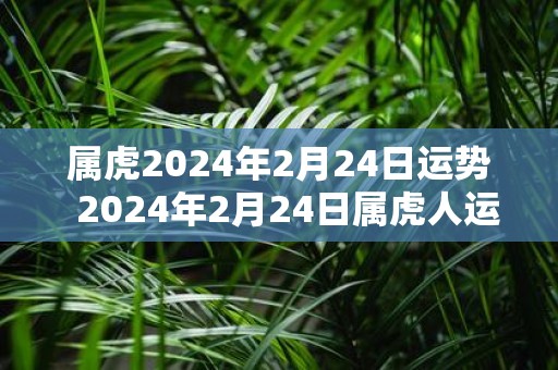 属虎2025年2月24日运势 2025年2月24日属虎人运势详解