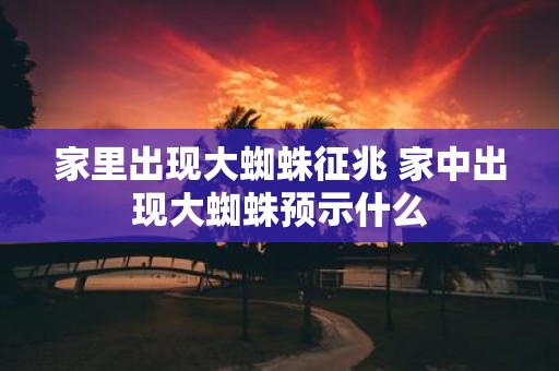 家里出现大蜘蛛征兆 家中出现大蜘蛛预示什么