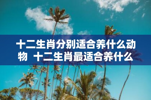 十二生肖分别适合养什么动物 十二生肖最适合养什么动物