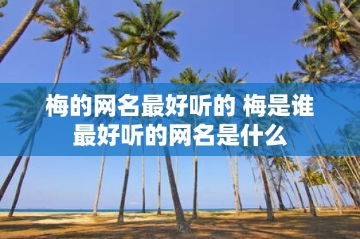 梅的网名最好听的 梅是谁最好听的网名是什么