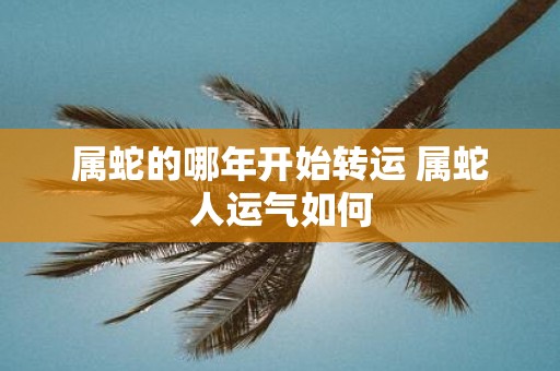 属蛇的哪年开始转运 属蛇人运气如何