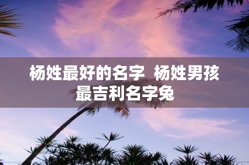 杨姓最好的名字 杨姓男孩最吉利名字兔