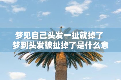 梦见自己头发一扯就掉了 梦到头发被扯掉了是什么意思