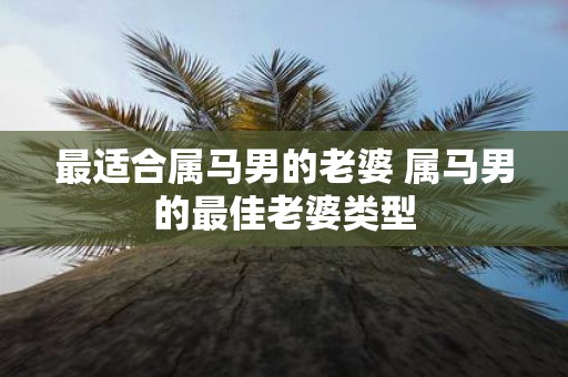 最适合属马男的老婆 属马男的最佳老婆类型