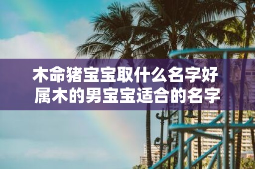 木命猪宝宝取什么名字好 属木的男宝宝适合的名字