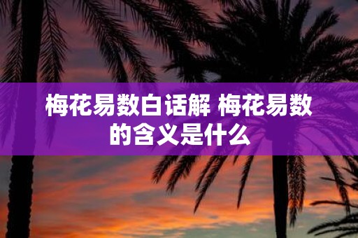 梅花易数白话解 梅花易数的含义是什么