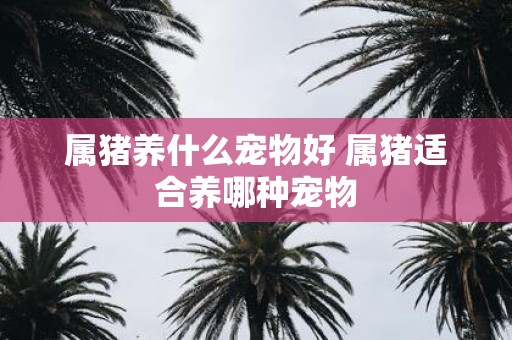 属猪养什么宠物好 属猪适合养哪种宠物