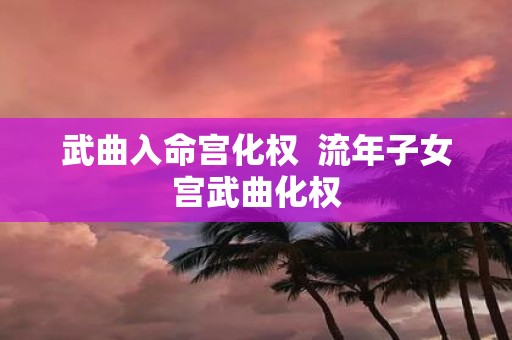 武曲入命宫化权 流年子女宫武曲化权