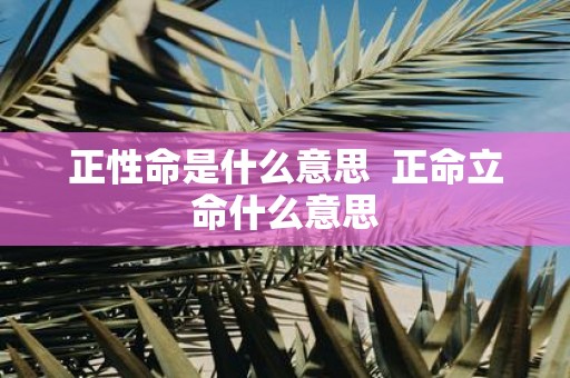 正性命是什么意思 正命立命什么意思