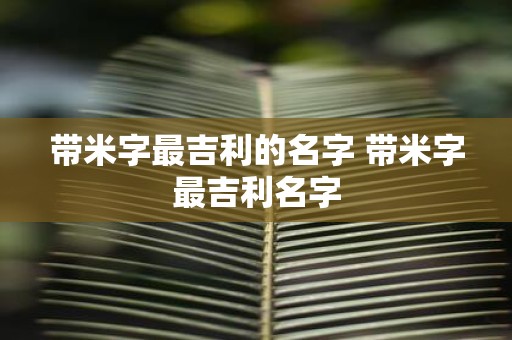 带米字最吉利的名字 带米字最吉利名字