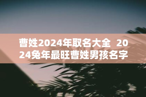 曹姓2025年取名大全 2025蛇年最旺曹姓男孩名字
