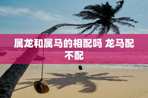 属龙和属马的相配吗 龙马配不配