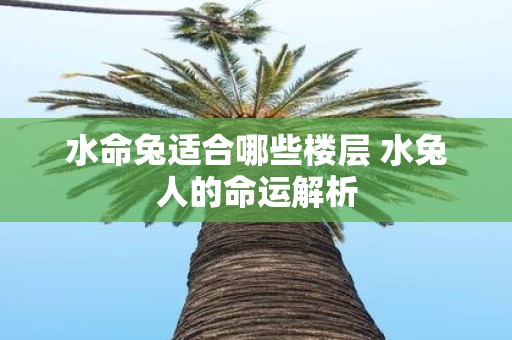 水命兔适合哪些楼层 水兔人的命运解析