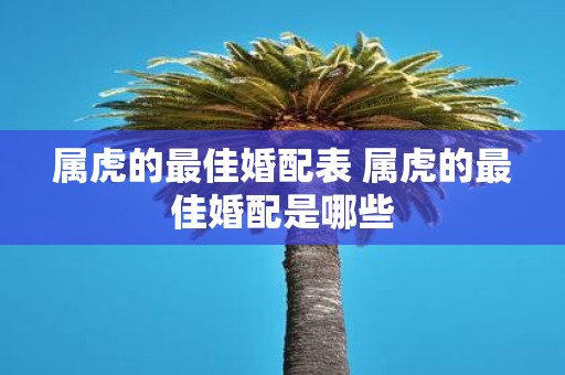属虎的最佳婚配表 属虎的最佳婚配是哪些