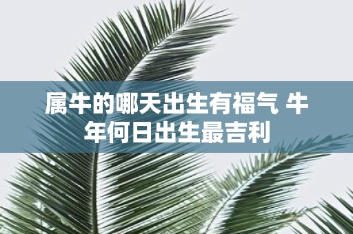 属牛的哪天出生有福气 牛年何日出生最吉利
