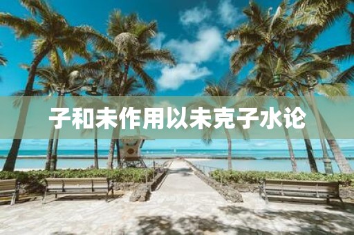 子和未作用以未克子水论