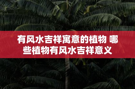 有风水吉祥寓意的植物 哪些植物有风水吉祥意义